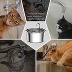 Snouto Pure™ – Self-Filtering Water Fountain for Cats & Dogs